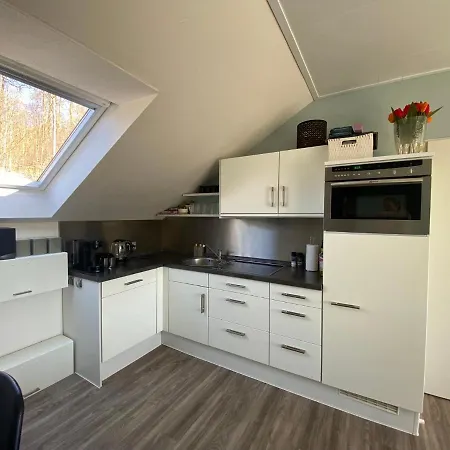 An Der Spitze * Winterberg