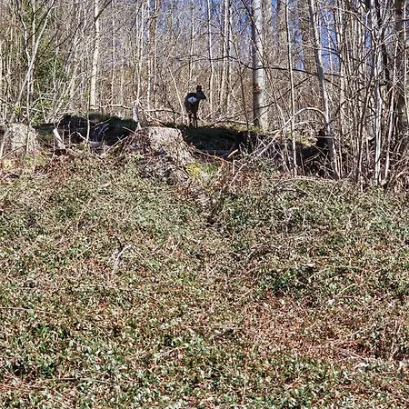 Apartamento An Der Spitze