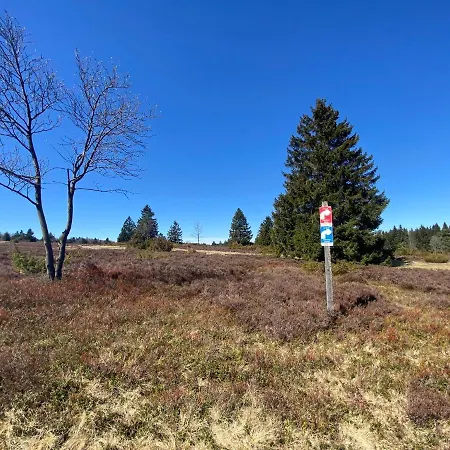 Daire An Der Spitze *