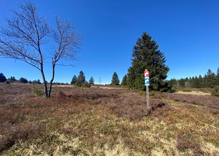 アパート An Der Spitze *